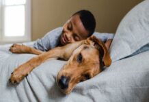 A morte de um cão pode ser mais dolorosa que a de um membro familiar, de acordo com um estudo