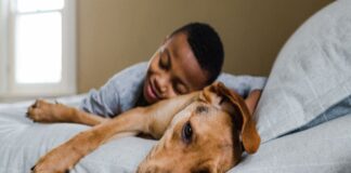 A morte de um cão pode ser mais dolorosa que a de um membro familiar, de acordo com um estudo