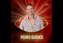 Pedro Guedes em desabafo