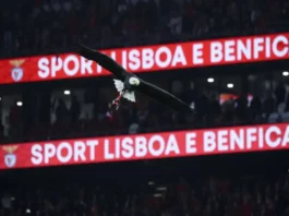 Benfica sob Benfica sob suspeita de corrupção