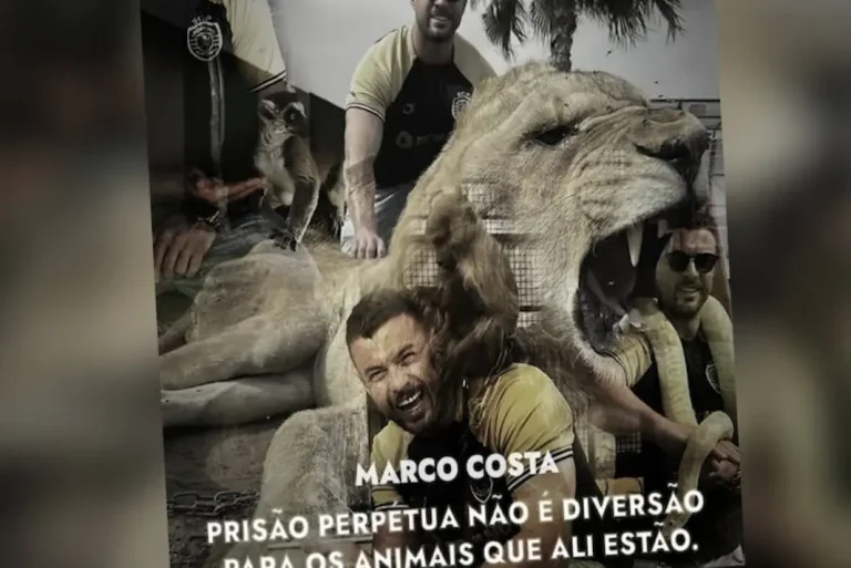 Marco Costa promove exploração animal